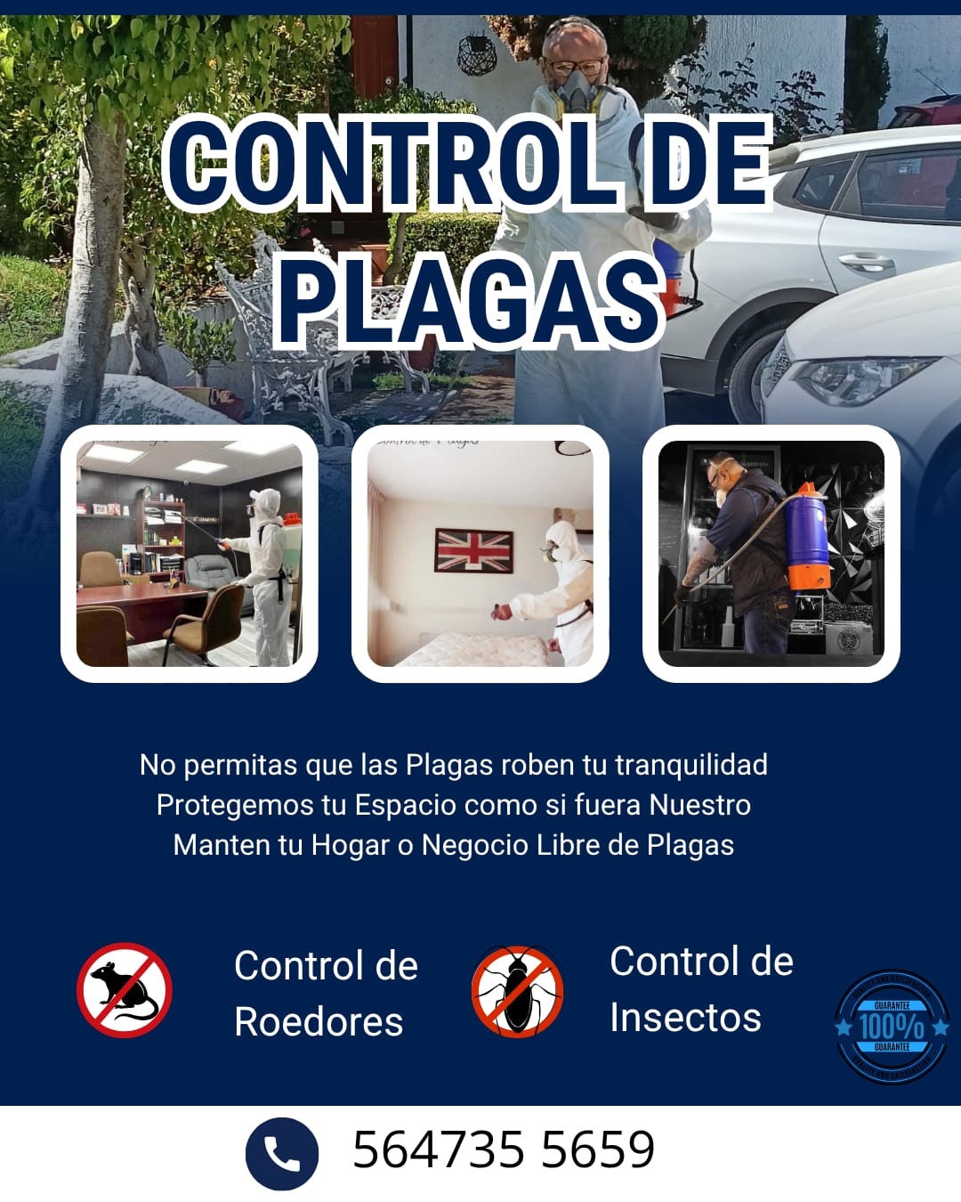 Promocional azul con servicio
