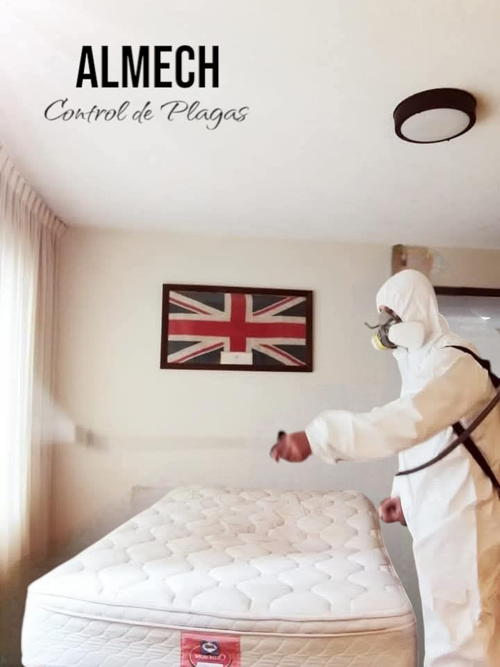 Servicio de control de plagas en interior